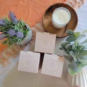 3 Pc PADDYWAX Enneagram #9 Peacemaker Soy Wax Candle In Sage & Lavender